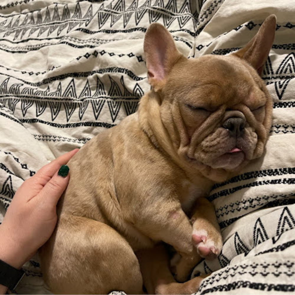 Meet your Posher, Shavonn